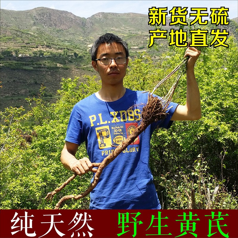 黄芪野生黄芪无硫自然采挖 甘肃黄芪片原产地 正北芪批发满5包邮图2
