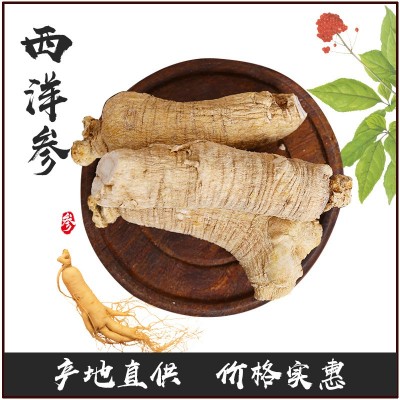 商务馈赠西洋参产地批发 东北特产长白山老人礼品西洋参短枝粒头