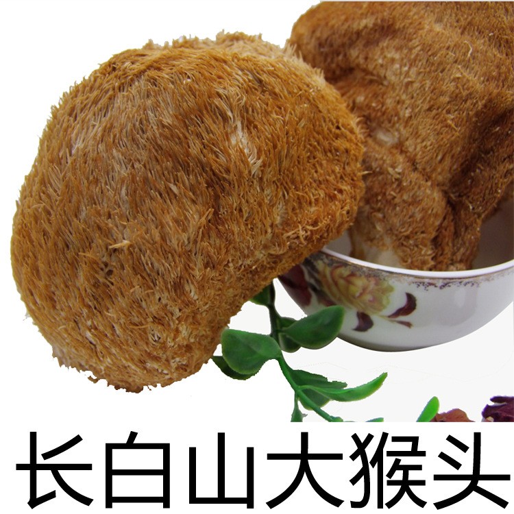 供应长白山优质猴头菇2斤起批 东北蘑菇批发各种菌类量大优惠！图2