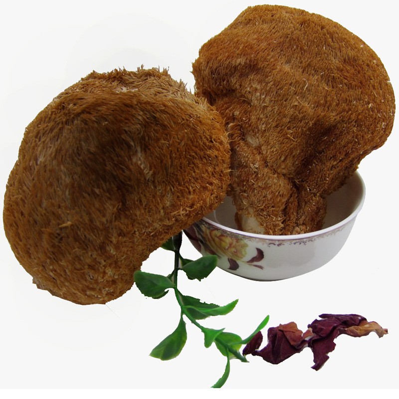 供应长白山优质猴头菇2斤起批 东北蘑菇批发各种菌类量大优惠！图5