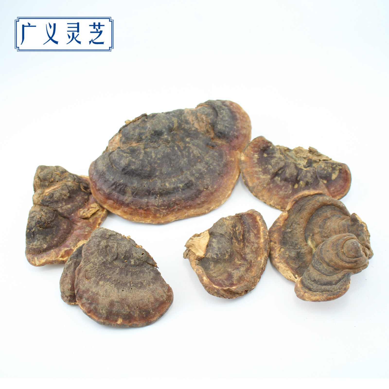 野生无柄赤芝 灵芝批发 红缘层孔菌 可切片 2吨现货 产地直销图2