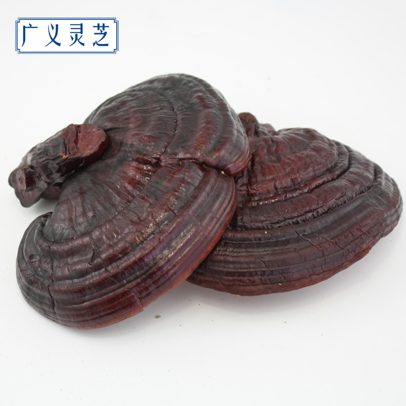 罡四灵芝 灵芝个子 灵芝切片 广义灵芝产地直销 灵芝批发图2