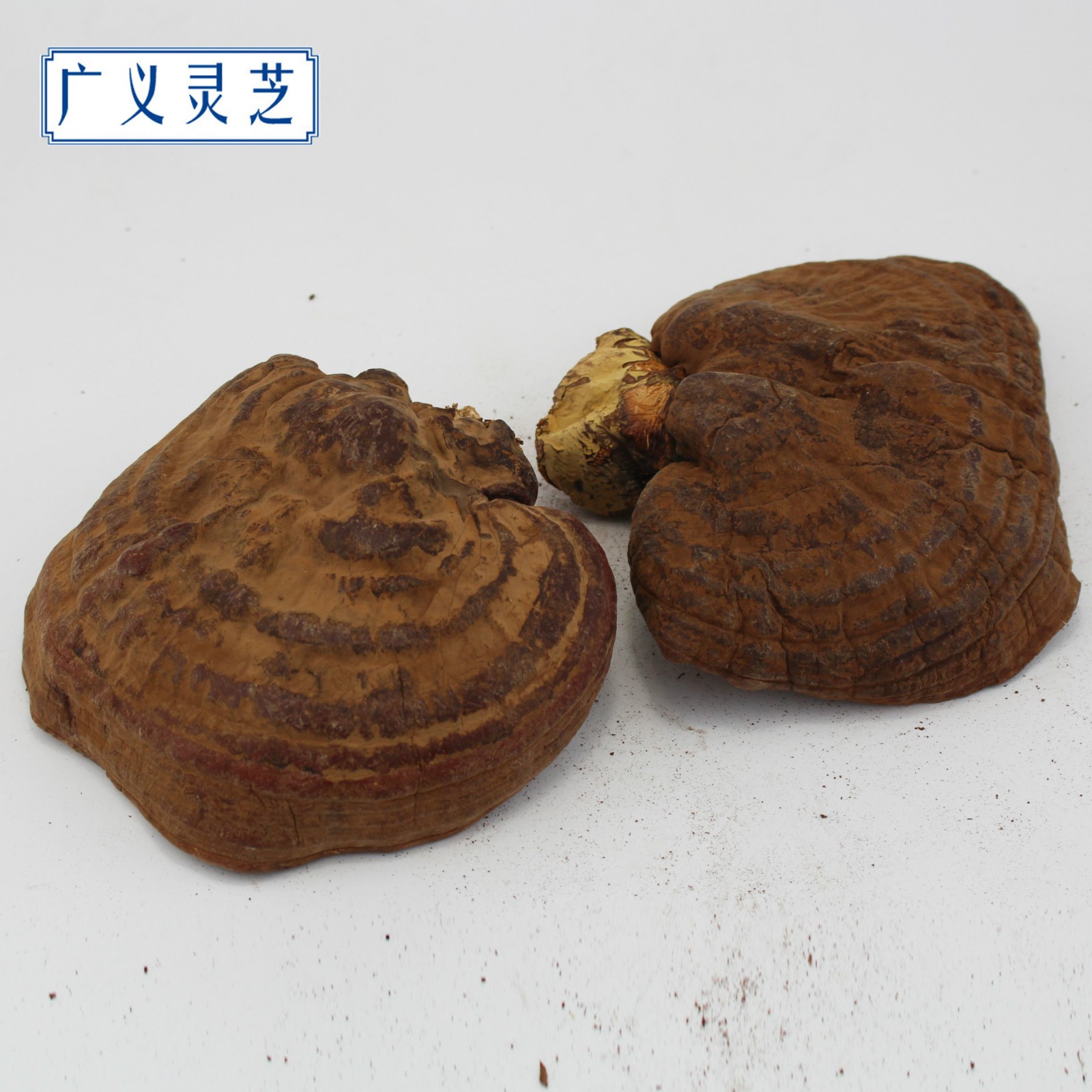 罡四灵芝 灵芝个子 灵芝切片 广义灵芝产地直销 灵芝批发图4