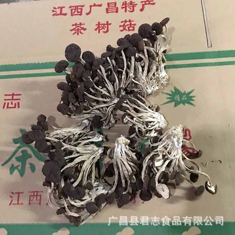 君志 2021新货江西广昌不开伞茶树菇干货批发精品5号菇散装食用菌图4