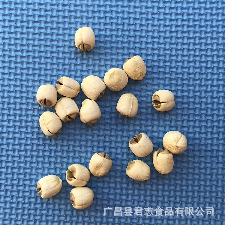 君志 江西广昌白莲带芯莲子干货500g散装批发 无硫新货粉糯大颗粒图2