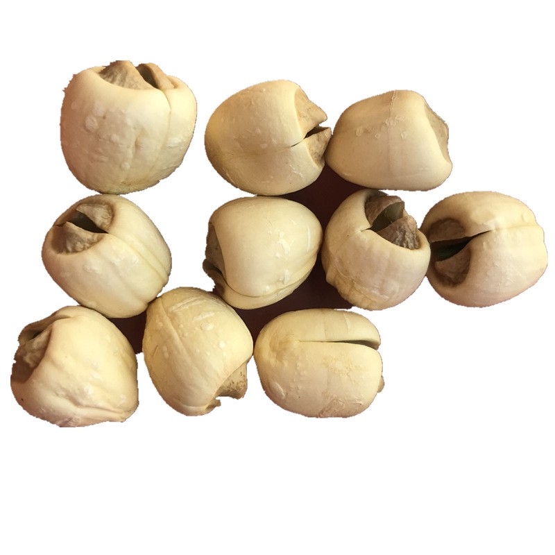 君志 江西广昌白莲带芯莲子干货500g散装批发 无硫新货粉糯大颗粒图5