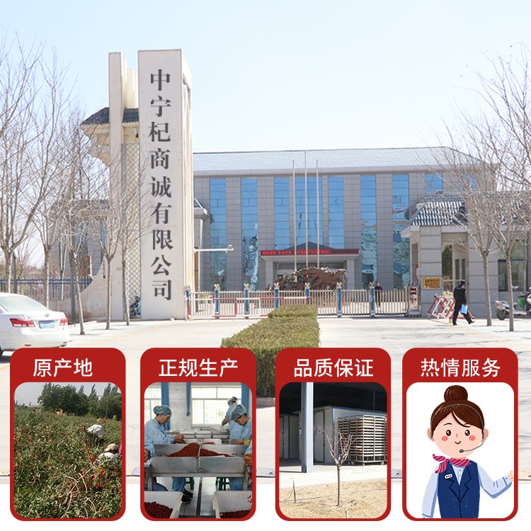 产地2021新货枸杞子宁夏中宁枸杞袋装250g红枸杞批发图4
