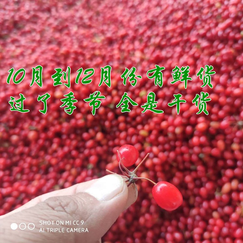中药材批发山茱萸山萸肉鲜鲜山茱萸 枣皮干货山萸肉中药材磨粉图3