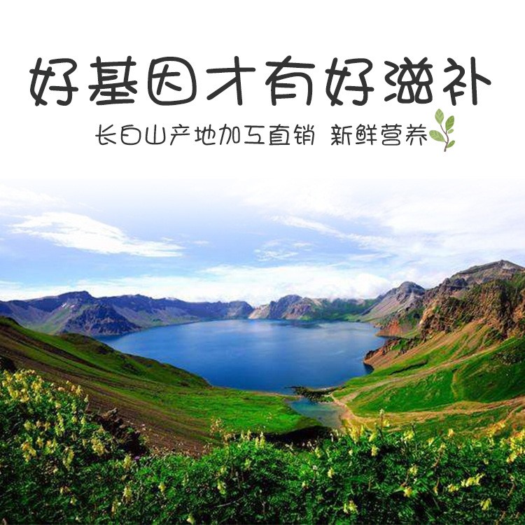 长白山人参须 吉林红参无糖 红参须捆5-6年含量高产地直销图4