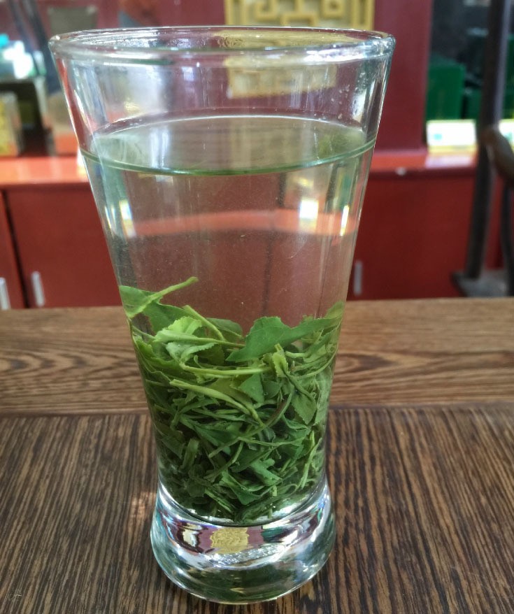豫信 茶叶 信阳毛尖新茶 散茶批发绿茶 春茶 源产地信阳毛尖茶图4