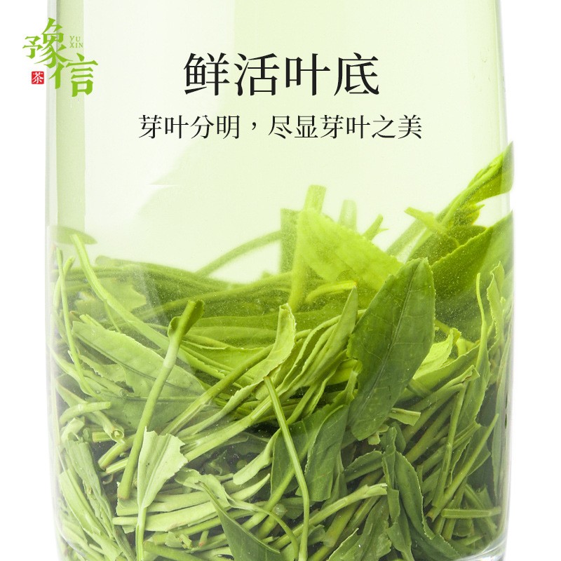 豫信茶叶 2021源产地信阳毛尖新茶 口粮茶绿茶 厂家批发图4