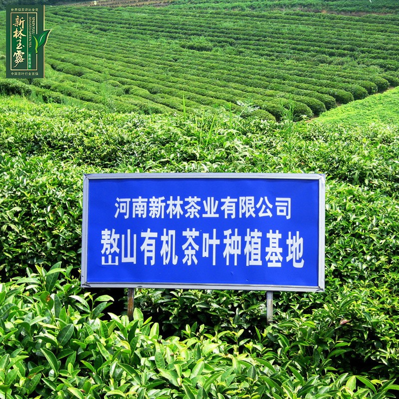 2021 茶叶 绿茶 新林玉露 蒸青绿茶 100g和清袋装图5