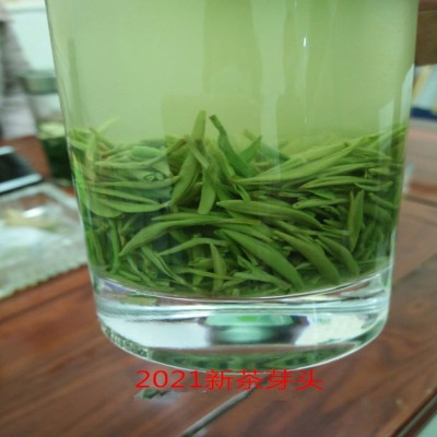 厂家批发信阳明前毛尖2022新茶高山云雾茶散装 嫩芽 绿茶 预售