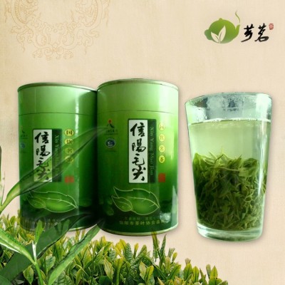 一手货源 信阳毛尖2021 新茶 高山云雾茶 自产自销 批发零售 绿茶