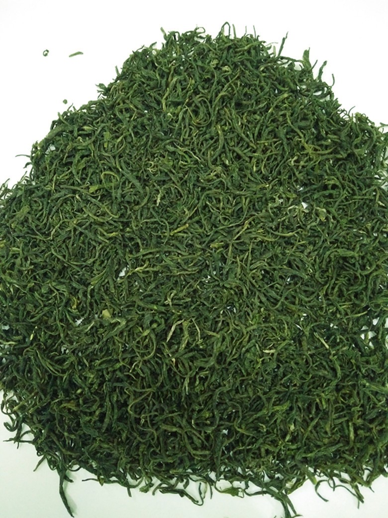 一手货源 信阳毛尖2021 新茶 高山云雾茶 自产自销 批发零售 绿茶图5