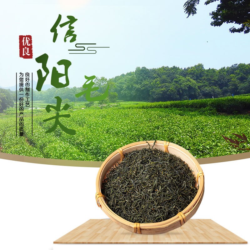 新茶信阳毛尖茶毛峰春茶高山绿茶 嫩芽OEM现货批发进货一件代发