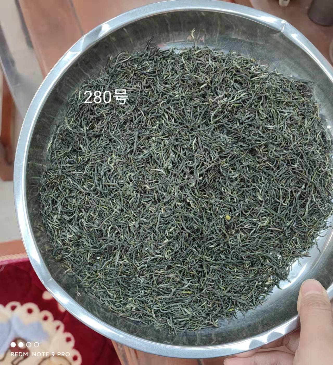 厂家批发500克 加工定制 信阳毛尖 量大从优