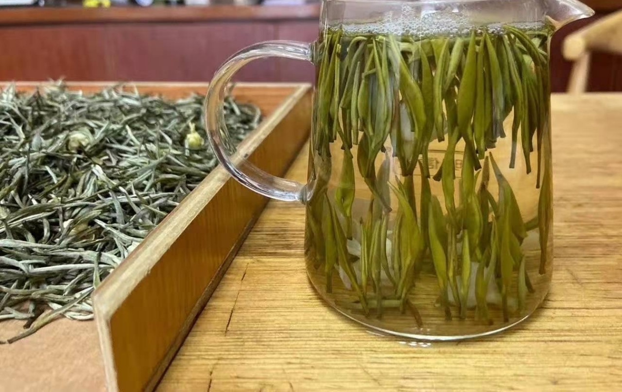 加工定制厂家批发 500克广西横县茉莉花茶茉莉飘雪图5