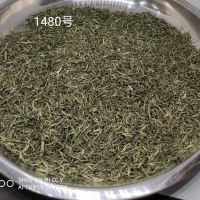 直供500克信阳毛尖明前小芽回味甘甜