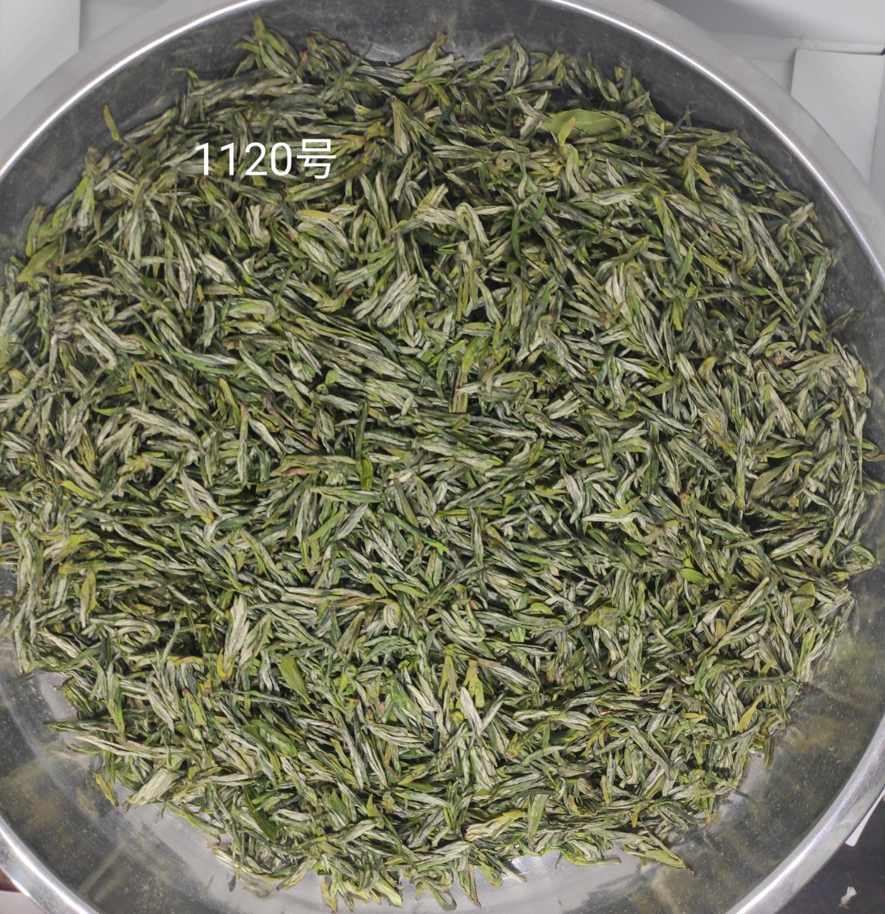 直供500克信阳手工茶手工制作
