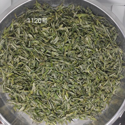直供500克信阳手工茶手工制作