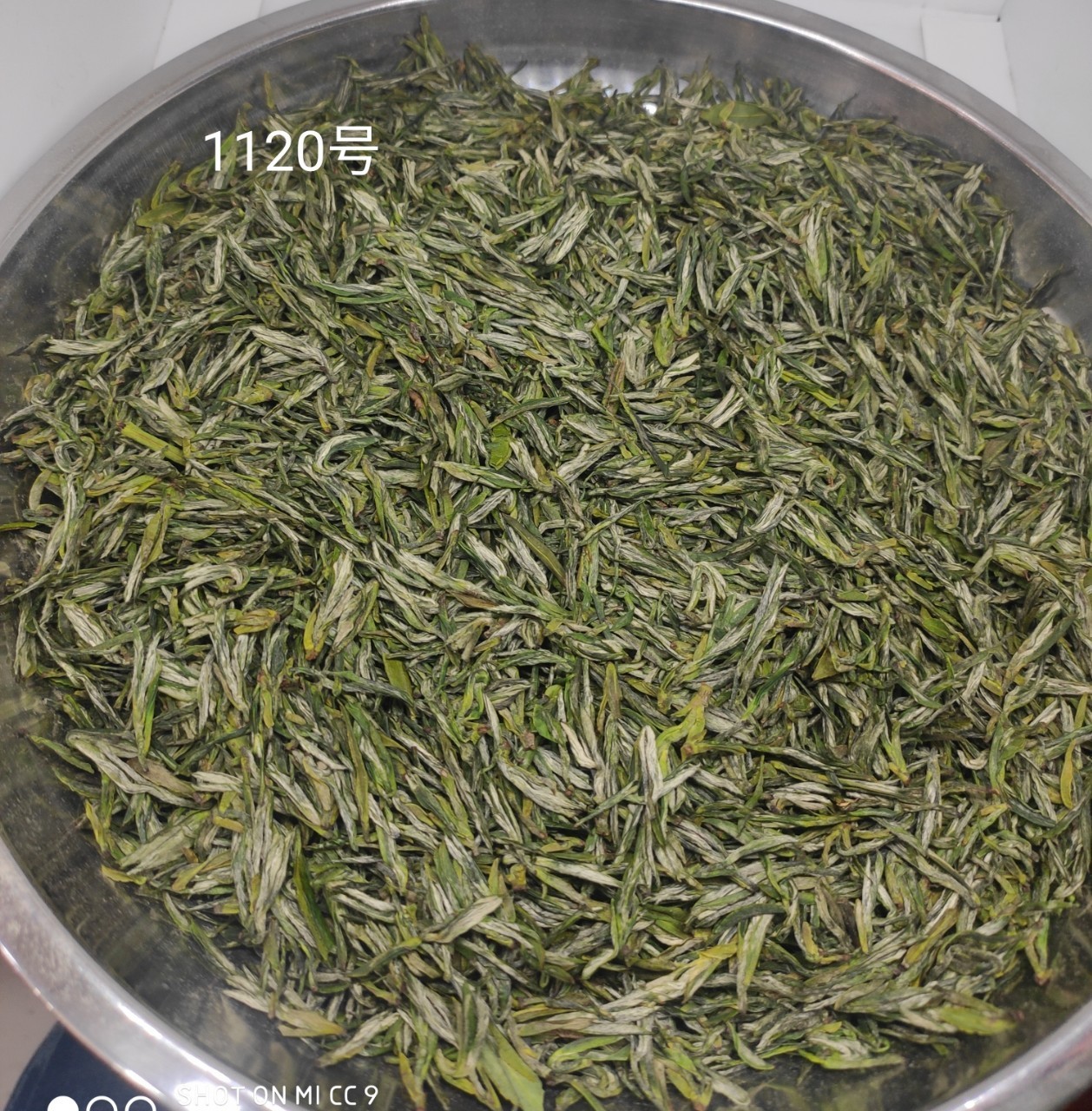 直供500克信阳手工茶手工制作图4