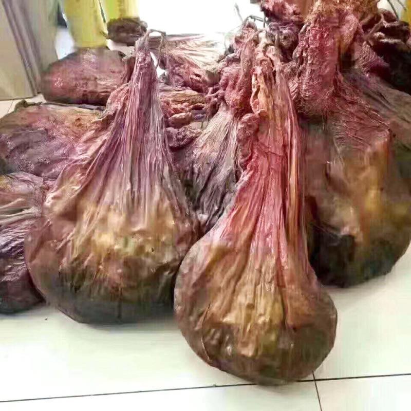 东北特产梅花鹿胎 梅花鹿鹿胎盘血胎整具吉林特产干鹿胎盘批发图3