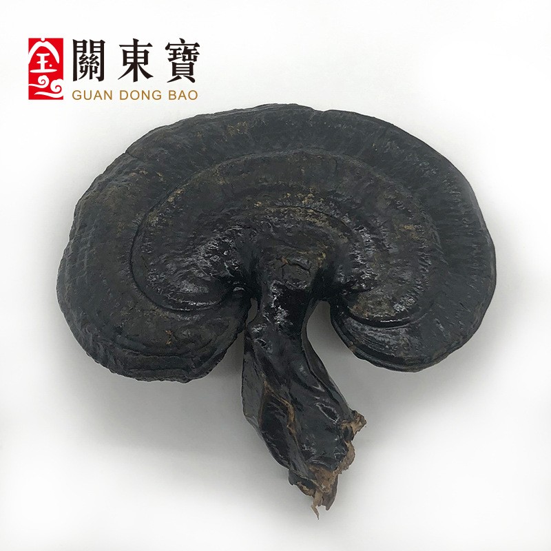批发长白山深山黑灵芝 东北特产 整支灵芝500克/件 林芝切片一斤图2
