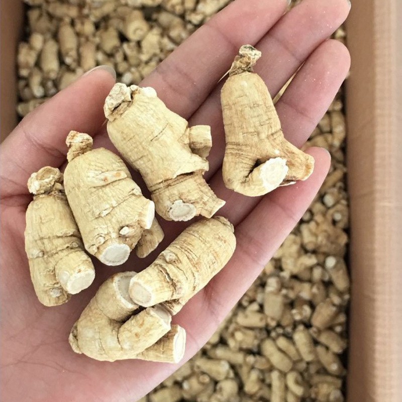 东北特产长白山花旗参段西洋参粒头切片中药材 250克/袋 西洋参段图4