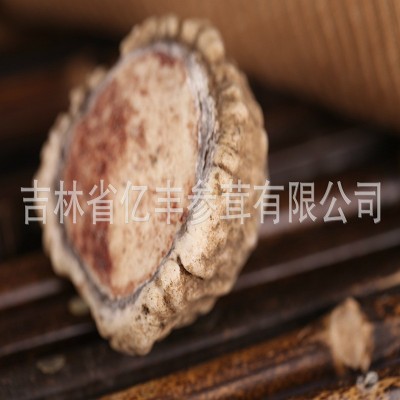 供应东北吉林长白山鹿角帽营养粉 批发 详询客服