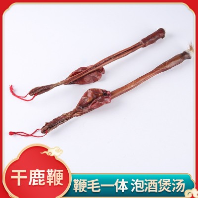 产地货源50-60克左右鹿鞭 可切片泡酒炖食男士营养鹿鞭量大从优