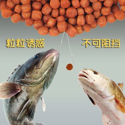 狂钓大师 鲫鱼饵 鲤鱼草鱼罗非颗粒饵料 黑坑钓鱼大师 垂钓鱼饵料
