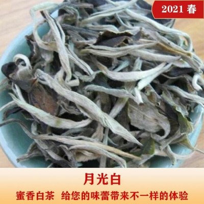 2021春 自产自销 云南秧塔高山白茶 月光白 500克白茶散茶批发