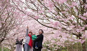 今年清明假期北京旅游热度最高，个性化住宿需求快速增长