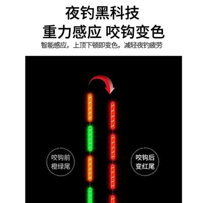 青草鲢鳙鱼漂大物夜光漂电子大物漂日夜两用高灵敏醒目浮漂鱼标浮