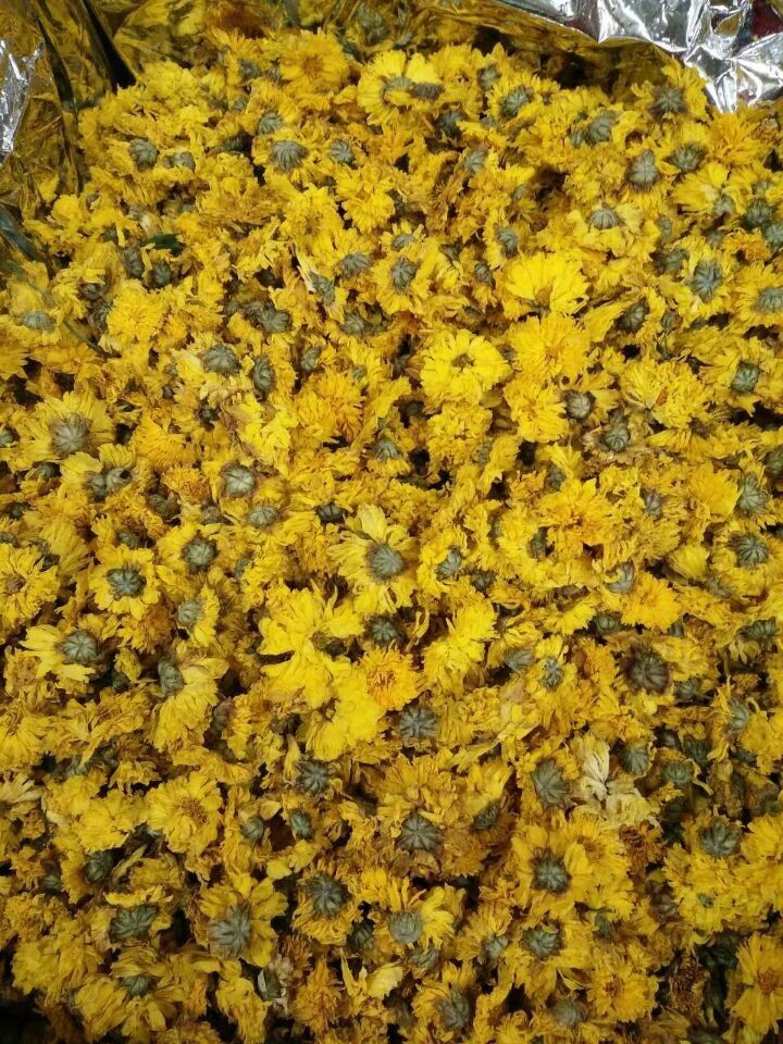 黄贡菊产地黄山 自然色 加黄贡菊菊花茶批发大货图4