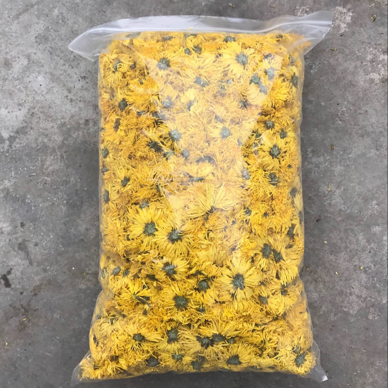 金丝皇菊黄菊菊花茶一朵一杯散花大量批发常年供应各种规格图4