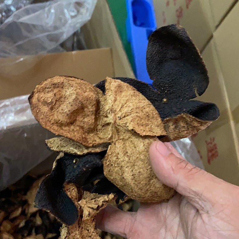 三蒸三晒干仓新会陈皮正宗15年陈皮十五年新会陈皮干老陈皮批发图4