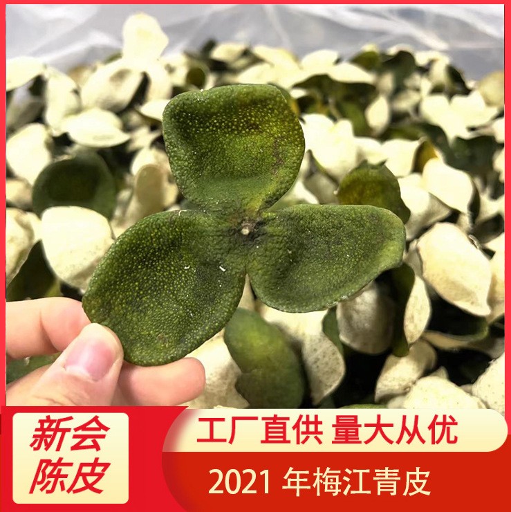 2021年梅江青皮 橘皮圈枝柑 新会陈皮 广东特产 实力工厂大量批发