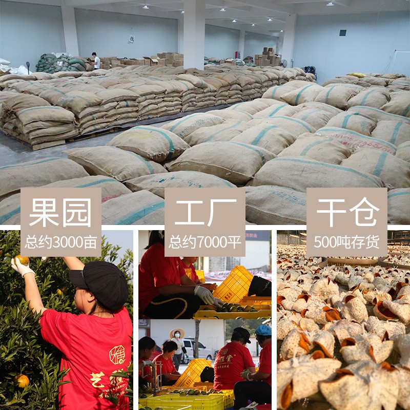 艺雅堂新会陈皮5 10 15 20 25 30年自然仓大红皮系列源头工厂批发图2