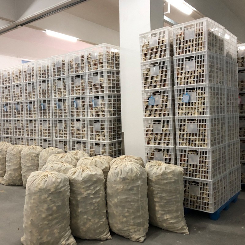 厂家陈皮 贝德佳天马大红皮自然生晒2017年包装新会陈皮老皮 批发图2