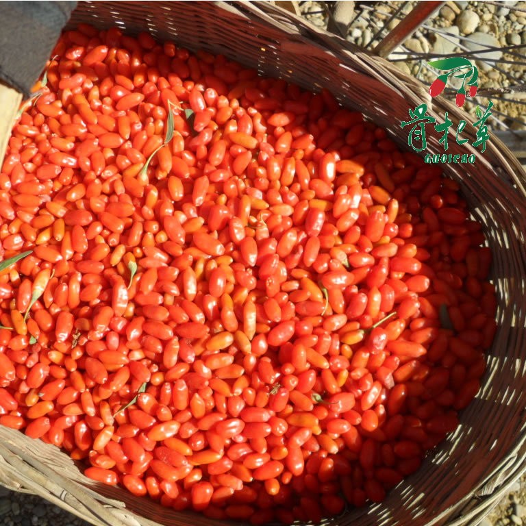 硫检测枸杞】宁夏中宁苟杞土特产特级枸杞子茶散装批发干果肾茶图3