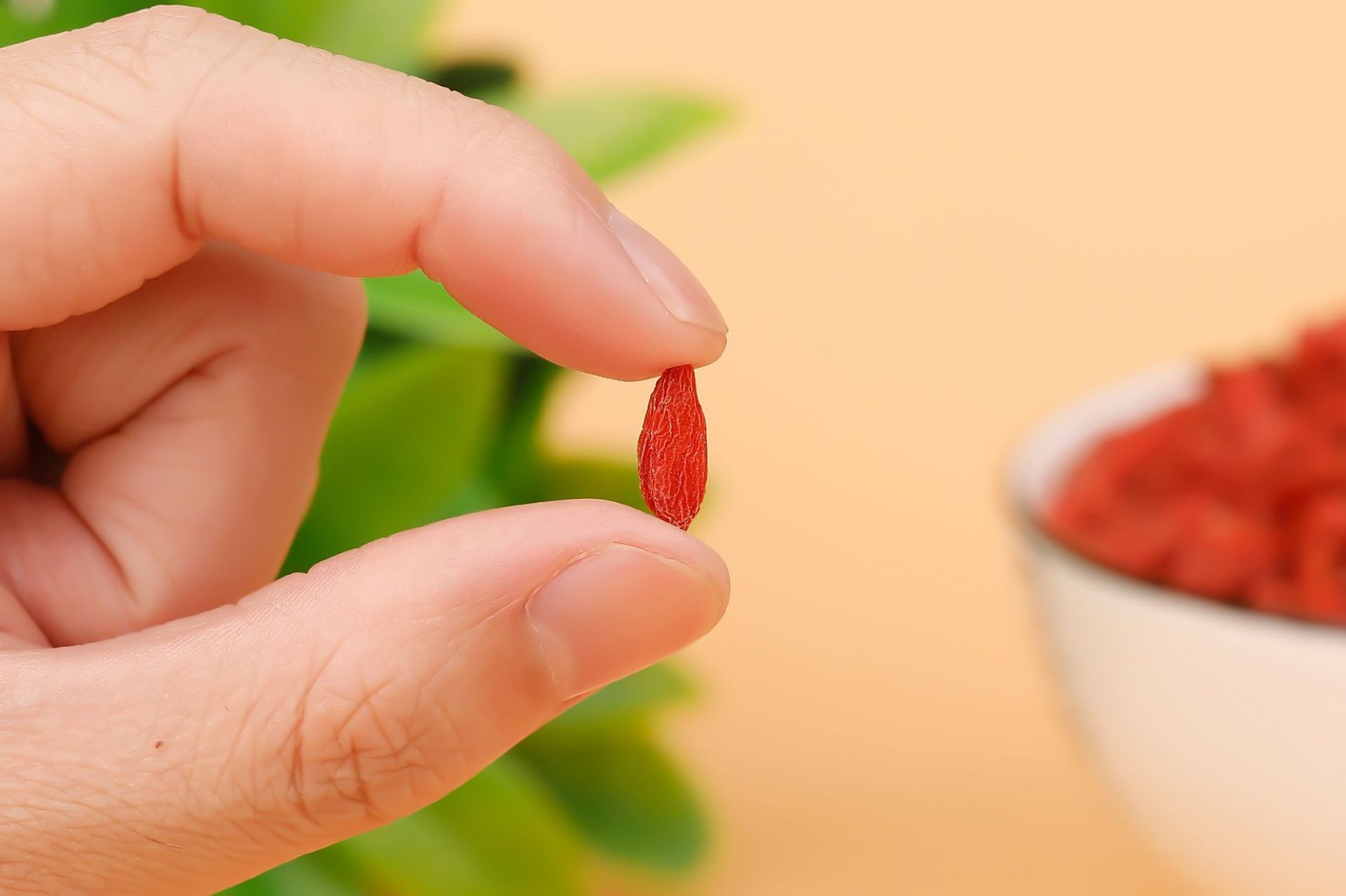 批发枸杞子散装250g 新货头茬宁夏枸杞茶 免洗精品枸杞图2