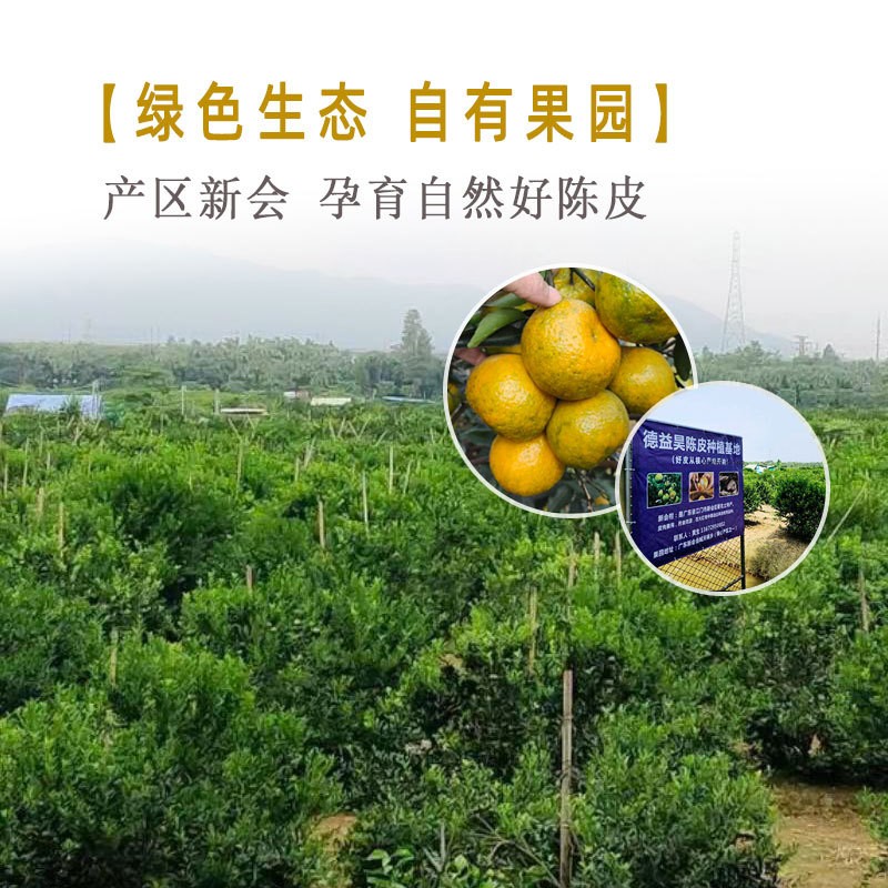 【德益昊】10年梅江大红皮陈皮新会陈皮10年陈皮陈皮厂家货源充足图4
