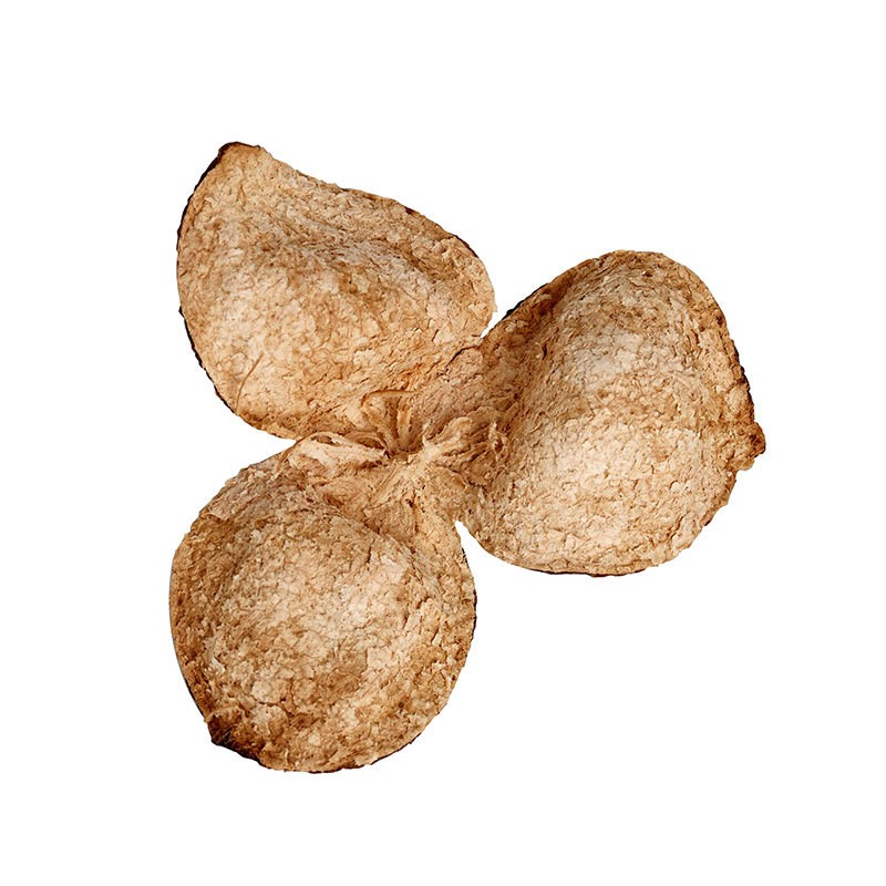 【德益昊】陈皮产地新会5年陈皮厂家自然陈化药食同源干仓陈皮图4