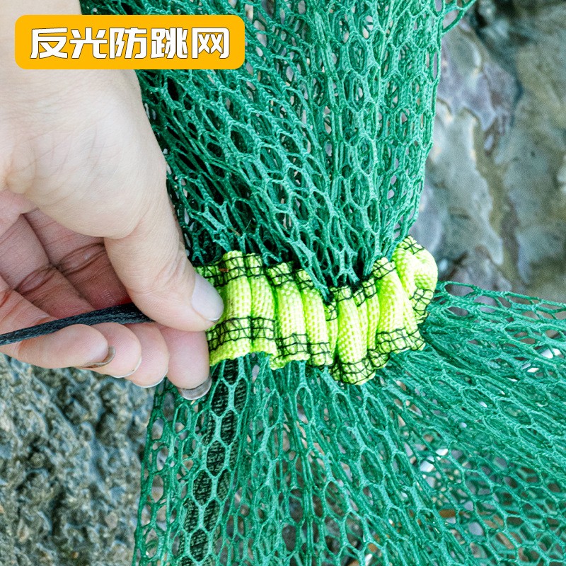 不锈钢双圈鱼护 渔护万向定位涂胶防挂渔护双环网兜鱼护网兜黑坑图4