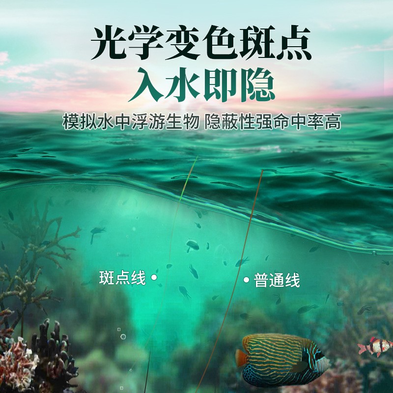 伪装者斑点线组钓鱼线套装全套台钓超强拉力绑好成品主线组批发图3
