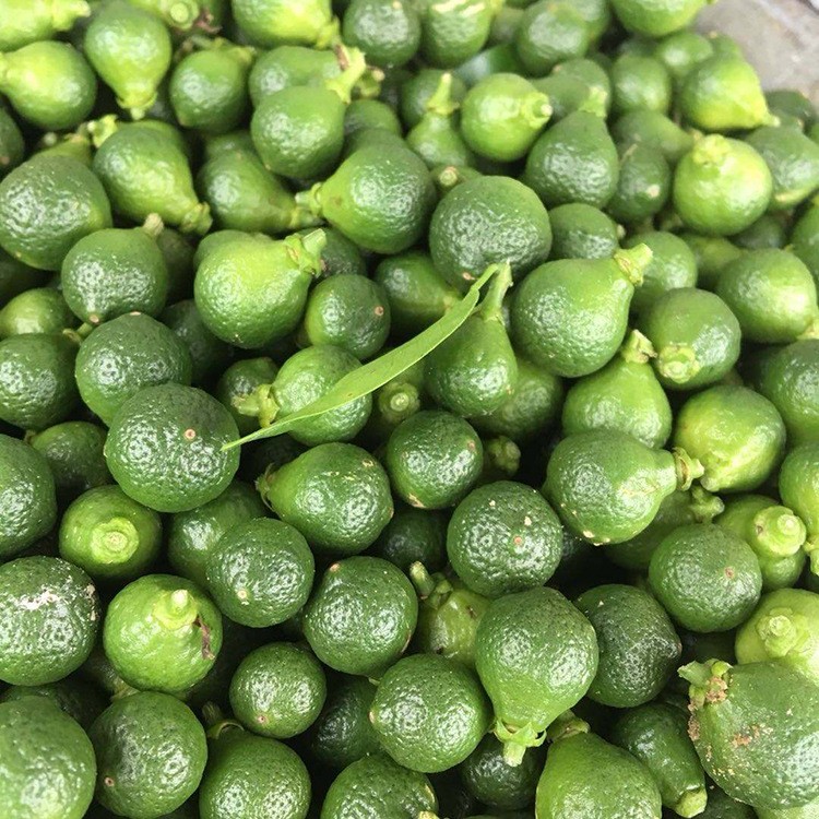 批发新会小柑胎 泡茶冲茶新会小柑胎 250g罐装柑胎小青柑果茶图3