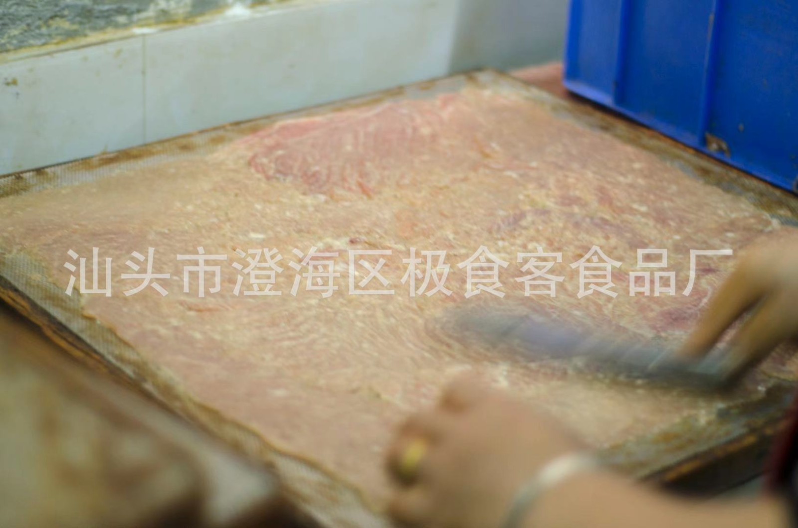 极食客潮汕特产手工炭烤猪肉干农家土猪传统卤制炭火烘烤猪肉脯图3
