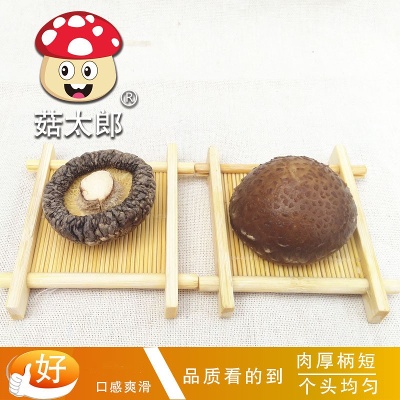 菇太郎香菇批发西峡特产香菇干货 精选冬菇可出口商检欧洲干香菇图2